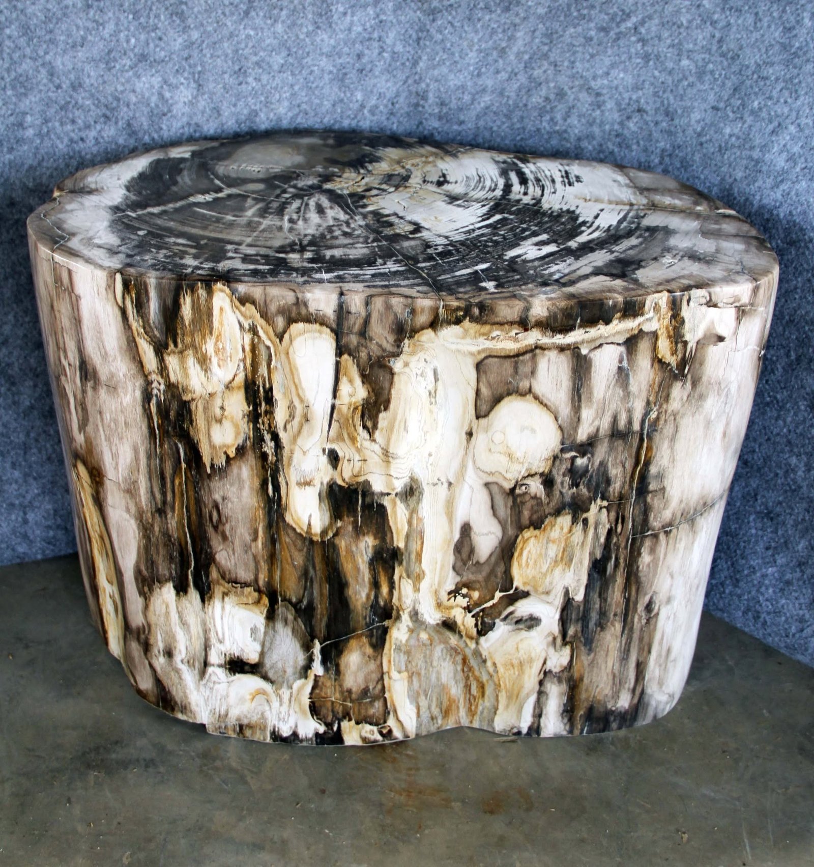 Premium fossil wood sculpture with unique organic shape