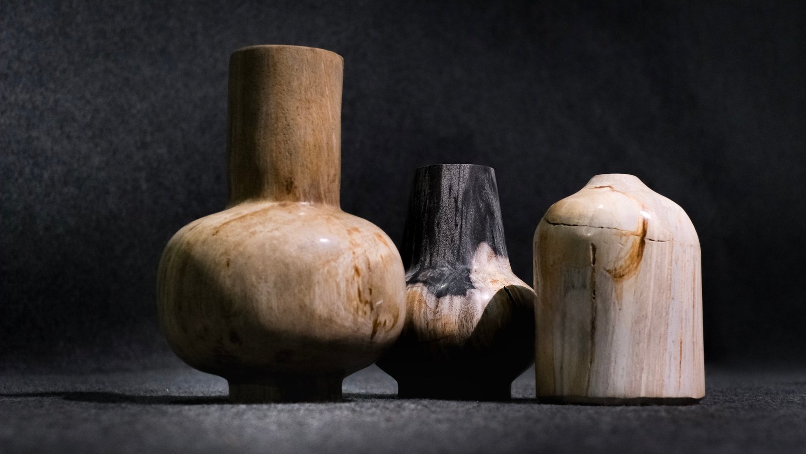 Natural petrified wood with preserved ancient tree grain