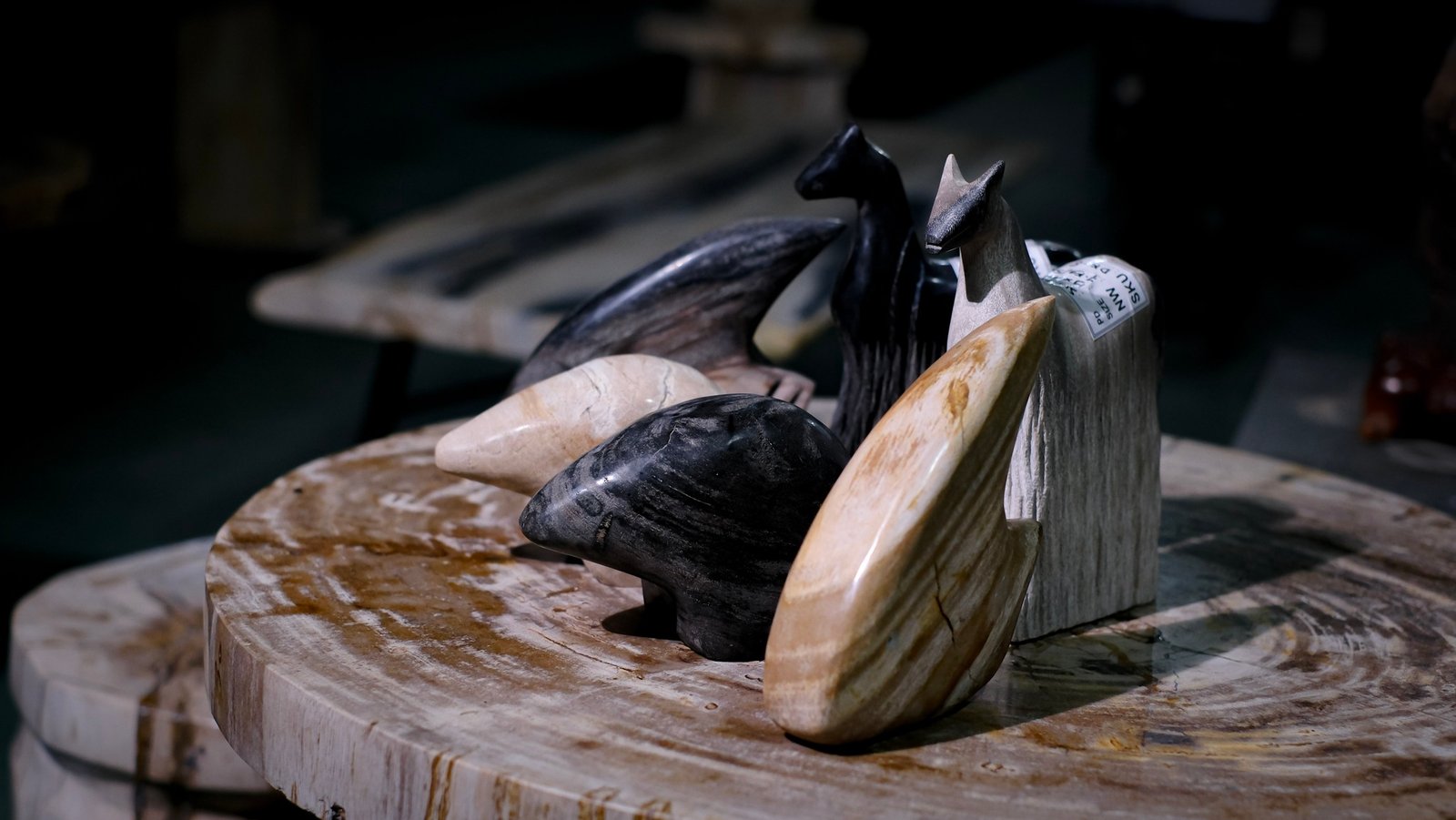Rare petrified wood displaying beautiful fossilized textures