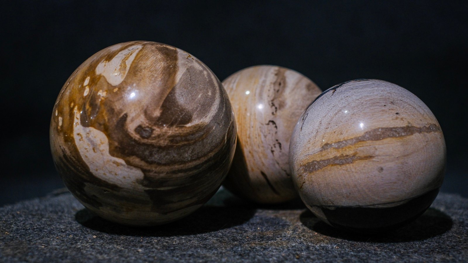 Close-up of authentic petrified wood from Indonesia