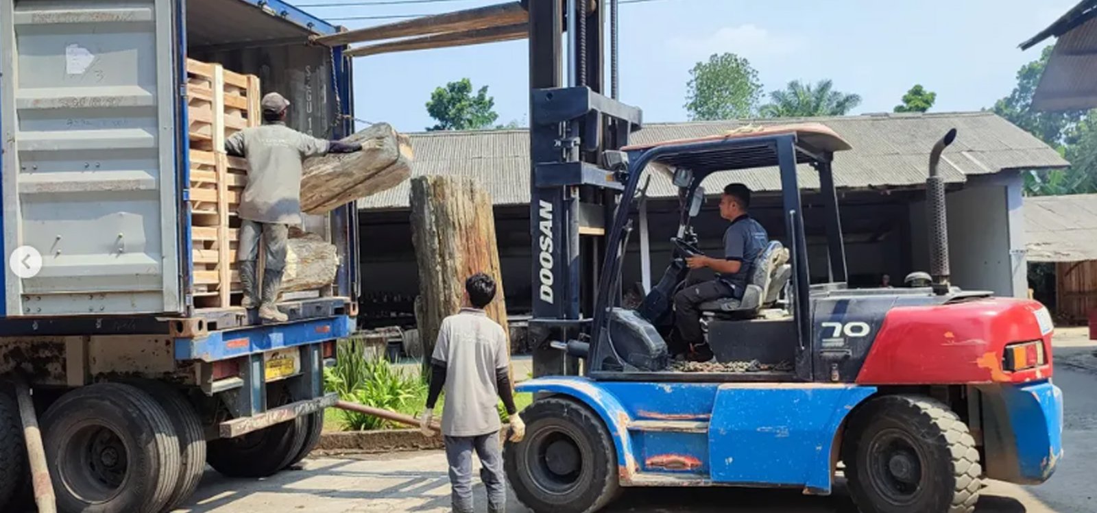 Pengiriman produk Java Petrified Wood ke seluruh dunia