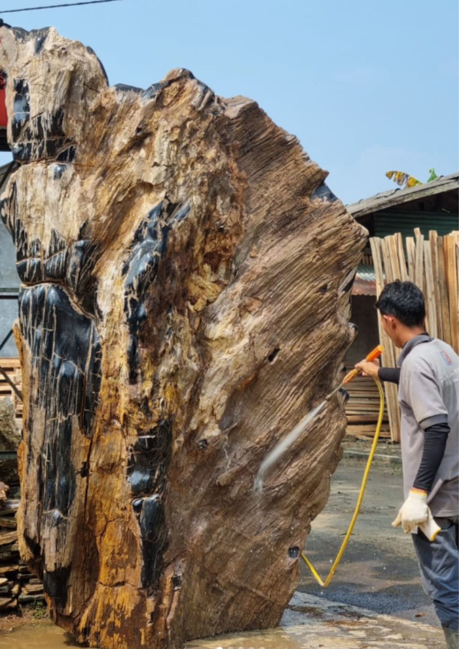 Experienced Stone Craftsmen PETRIFIED WOOD
