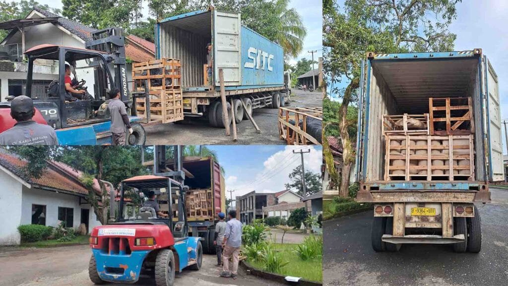 Export & International Shipping java petirifedwood