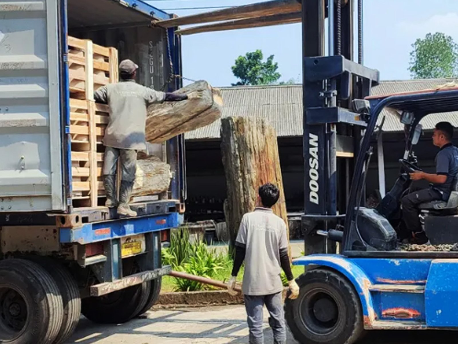 International Export