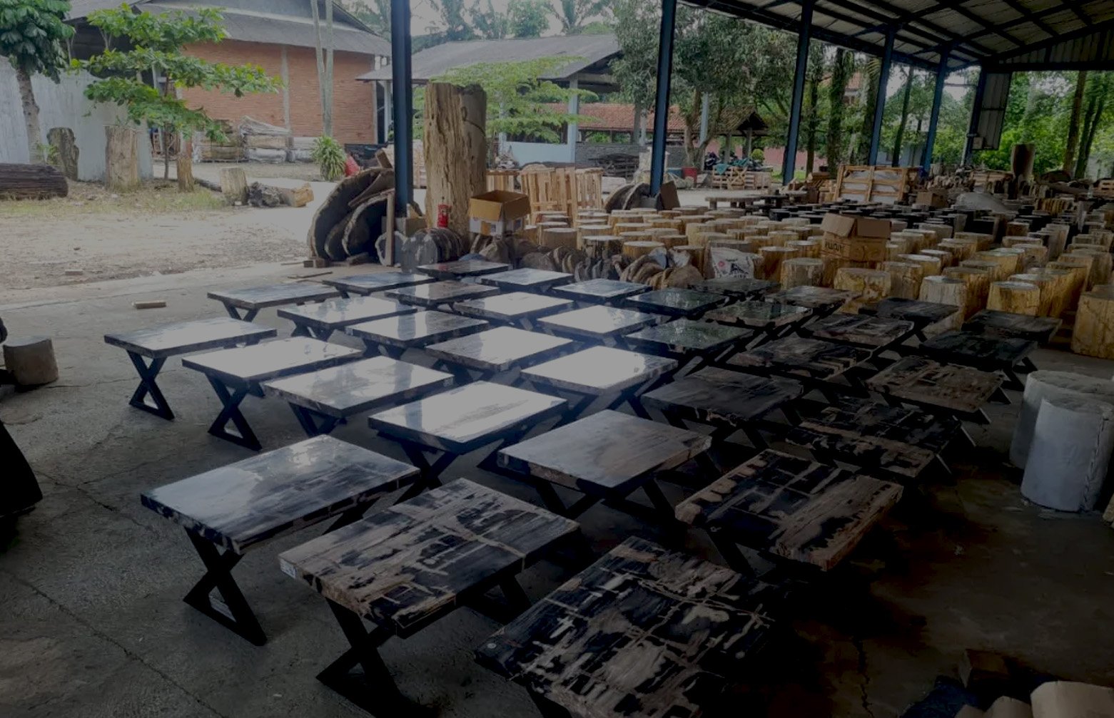 Premium Indonesian petrified wood for wholesale and large-scale projects