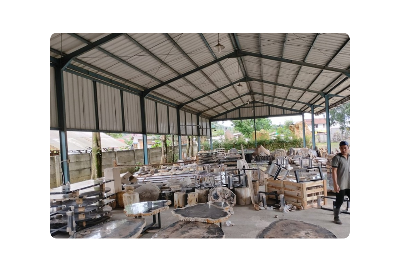Premium Indonesian petrified wood for international interior projects