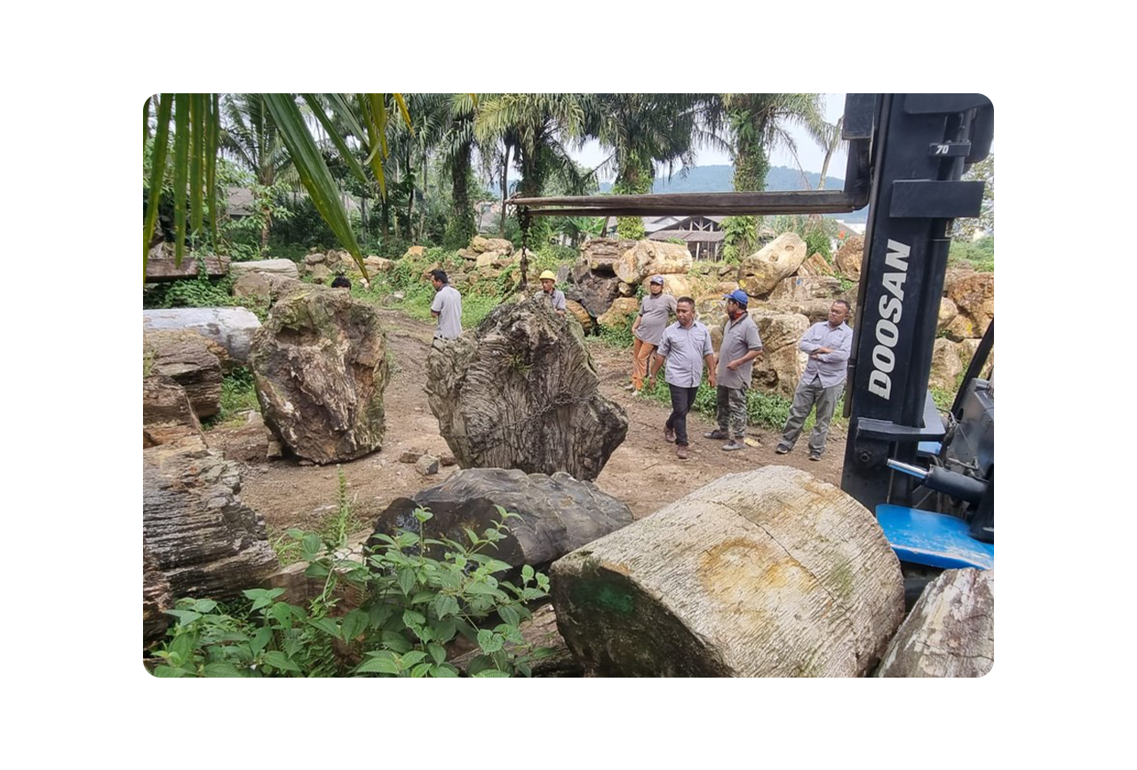 Raw Indonesian petrified wood log with natural bark texture