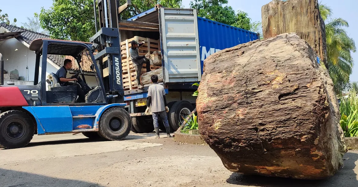 Unearthed from the mother earth, Petrified Wood are one of the treasure from earth.#petrifiedwo
