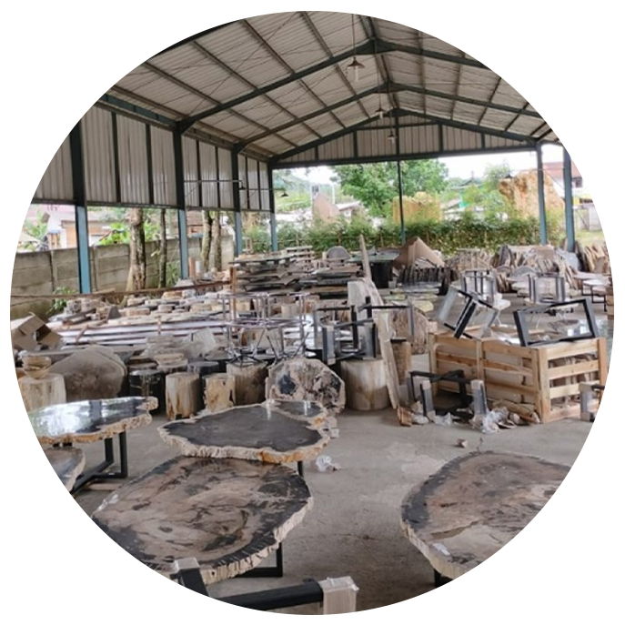 Wholesalers & Distributors petrifiedwood