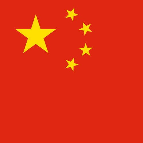 java petrfied wood export to CHINA