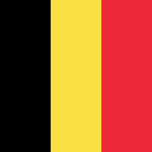 java petrfied wood export to belgium