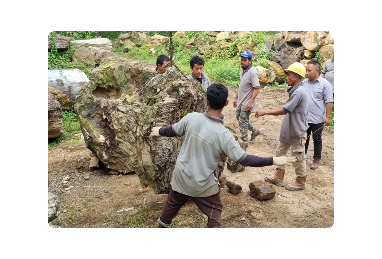 java team petrifiedwood