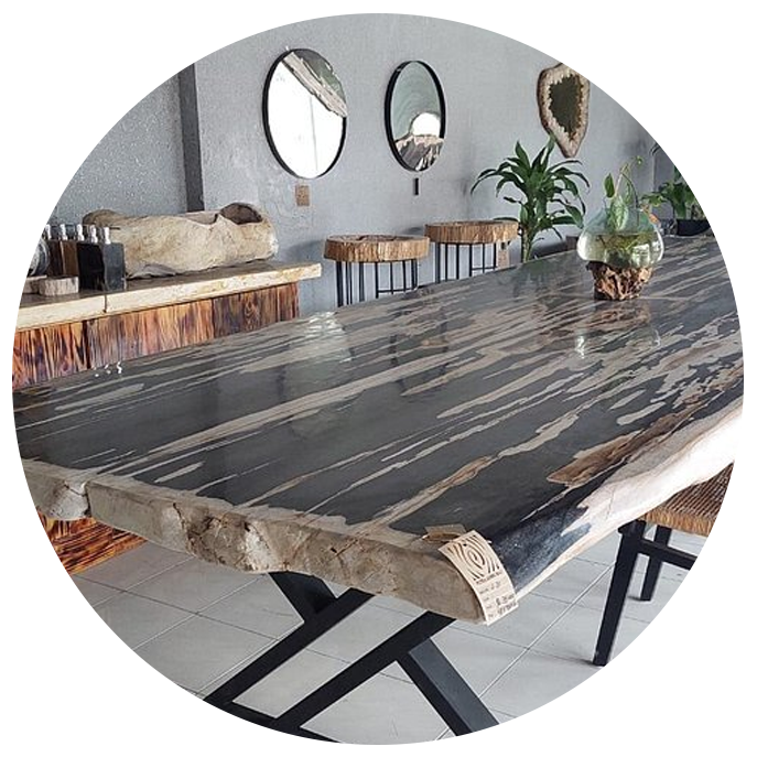 retailers petrified woods