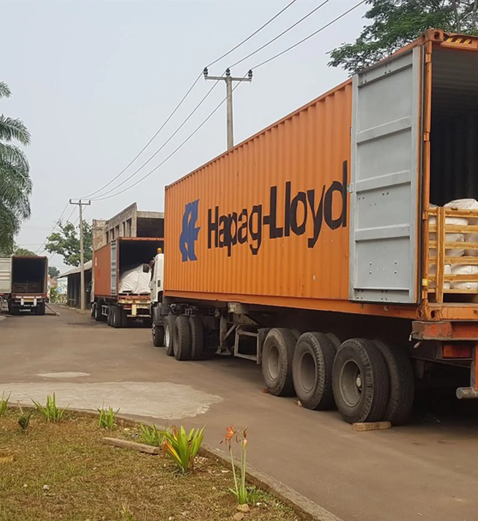 International-Export-Services