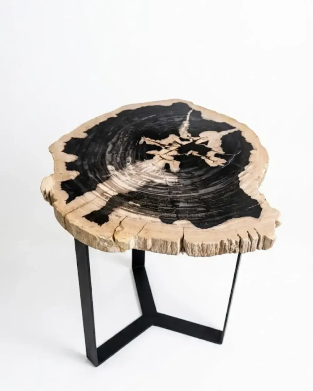 Indonesian petrified wood coffee table