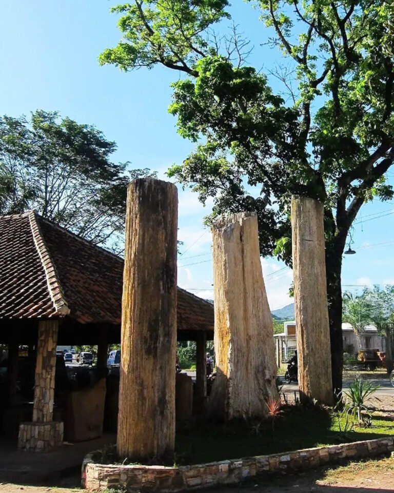 Modern petrified wood sculpture displayed in an art gallery