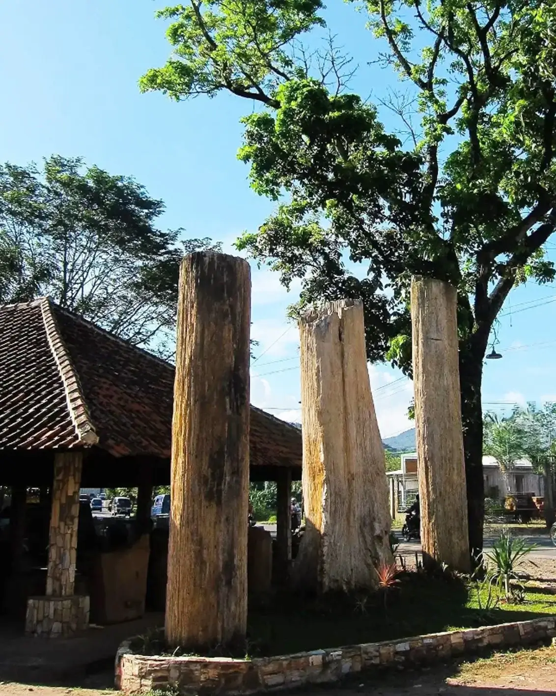 about us java-petrifiedwood-indonesia