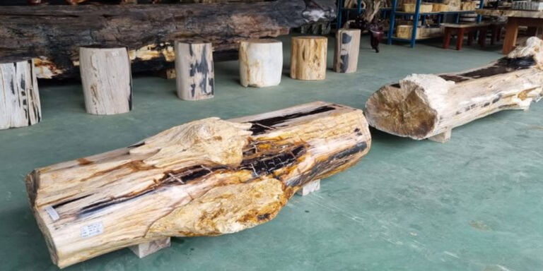 A luxury hotel lobby featuring Indonesian petrified wood furniture and decorative pieces