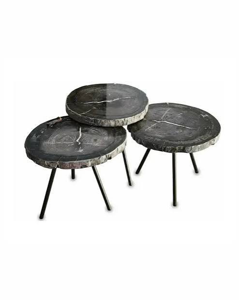 Indonesian petrified wood coffee table design