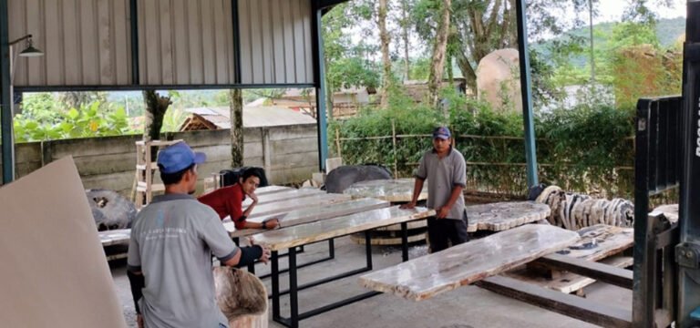 A premium polished petrified wood slab displayed in an Indonesian gallery, showcasing detailed mineral grain patterns.