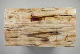 Close-up natural petrified wood dining table surface