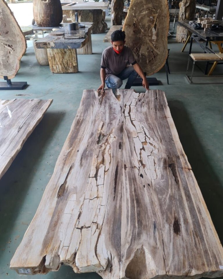 A luxurious polished petrified wood dining table centerpiece in a modern home interior.