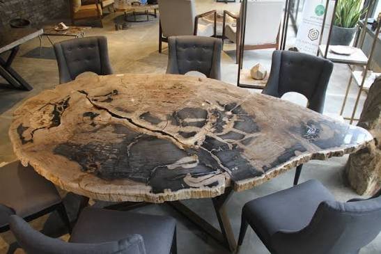 Large natural edge Indonesian petrified wood dining table