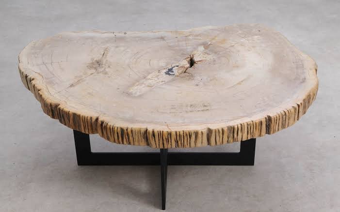 Petrified wood coffee table with distinctive fossil grain