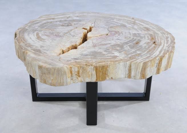 Natural petrified wood table for luxury interior