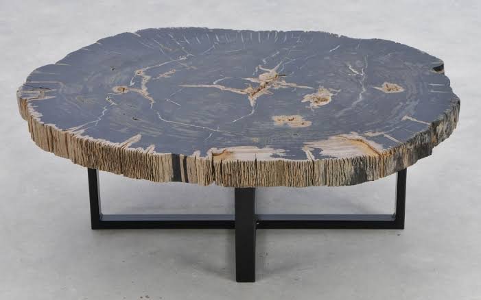 Indonesian petrified wood coffee table furniture