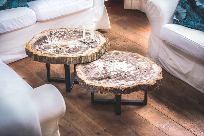 Unique fossil wood coffee table from Indonesia