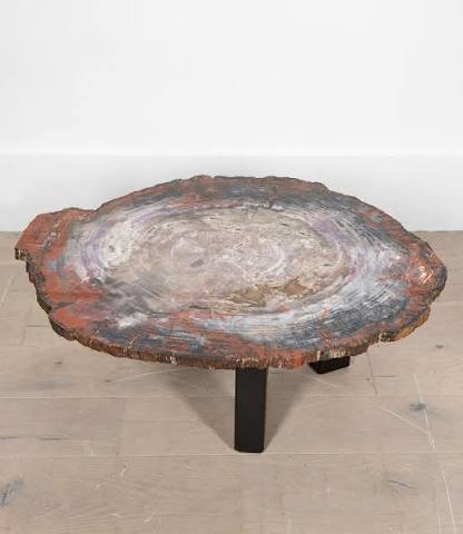 Indonesian petrified wood coffee table with natural fossil wood character