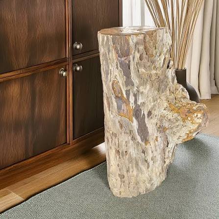 Luxury petrified wood console table for interior projects