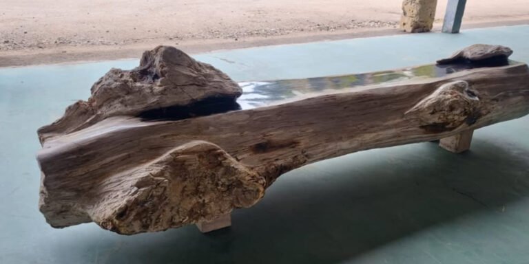 A side-by-side comparison of polished and natural petrified wood slabs displaying differences in texture and color.